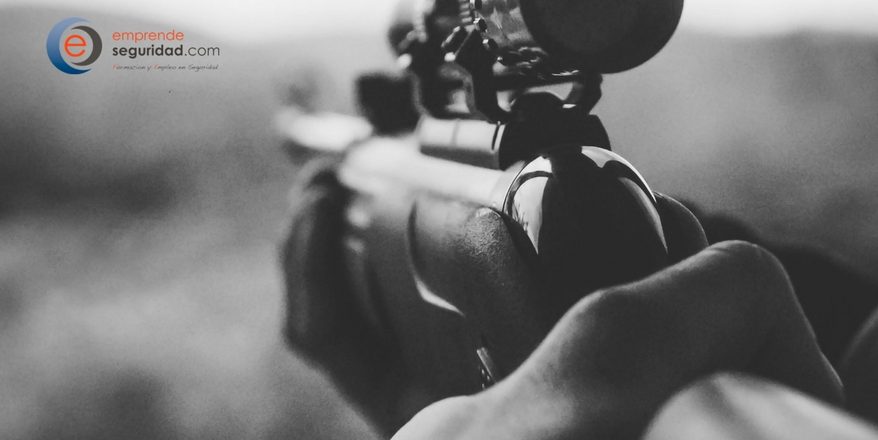 ¿Qué profesional de seguridad puede portar arma de fuego?