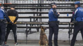 perros policía