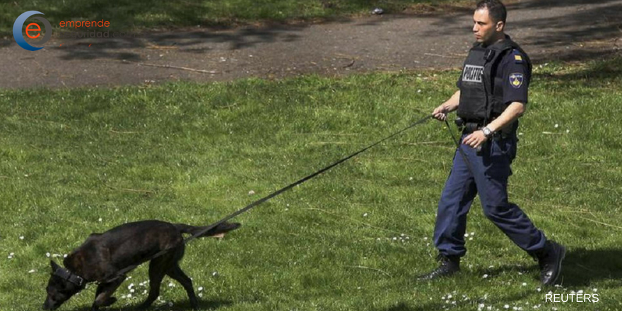 perros policía